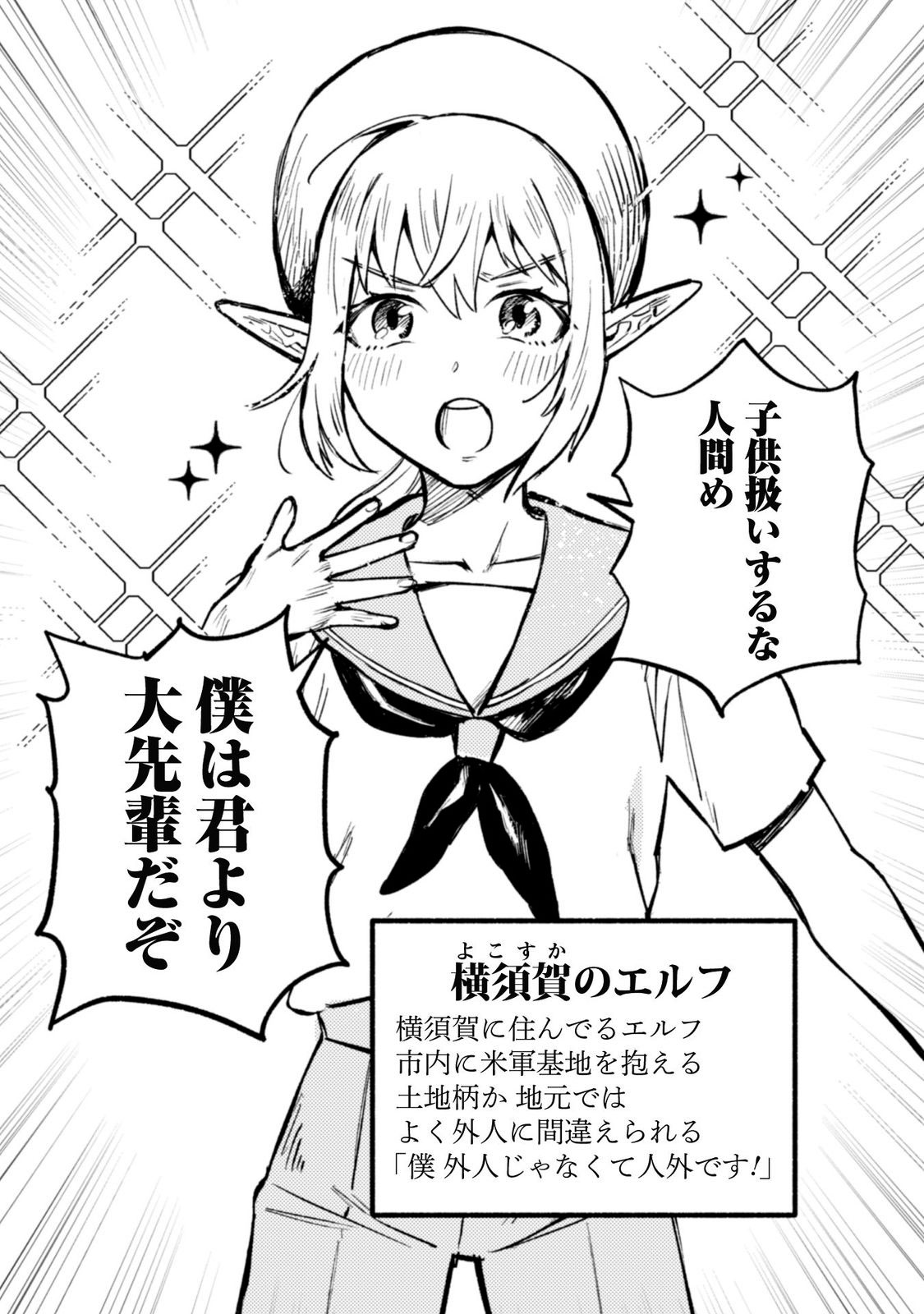 神奈川に住んでるエルフ