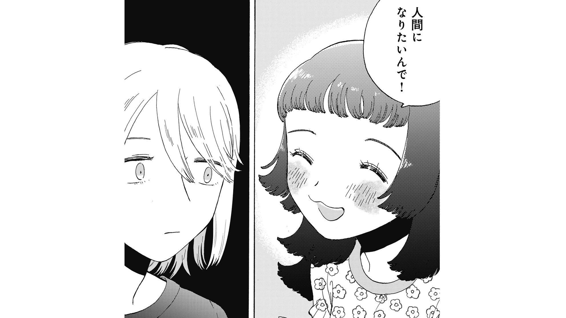 たぬきはたぬきTOP12