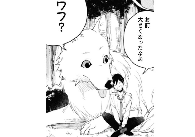 記事の画像