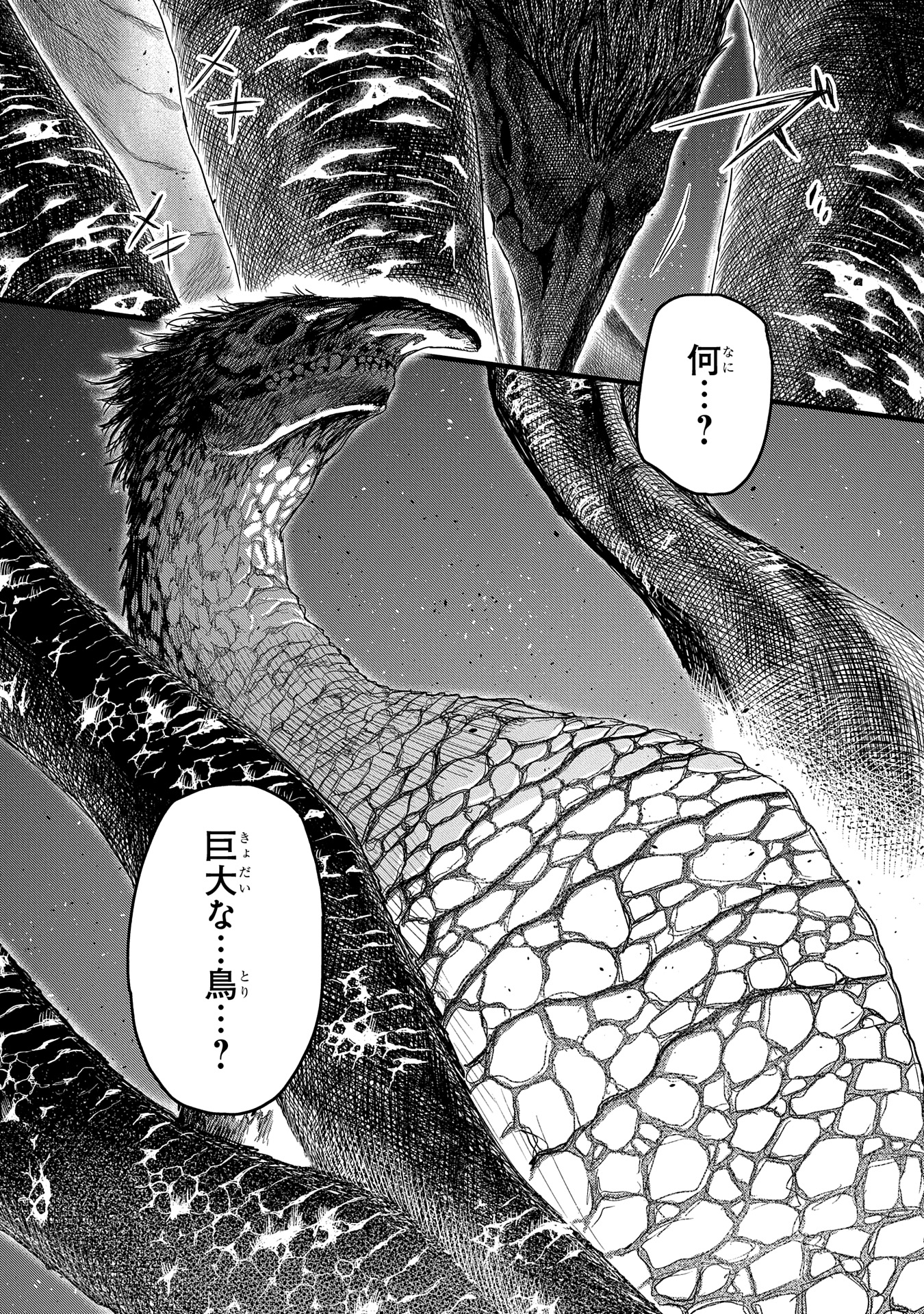 竜伐のフィエラ