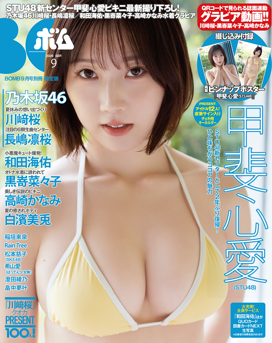 限定版表紙