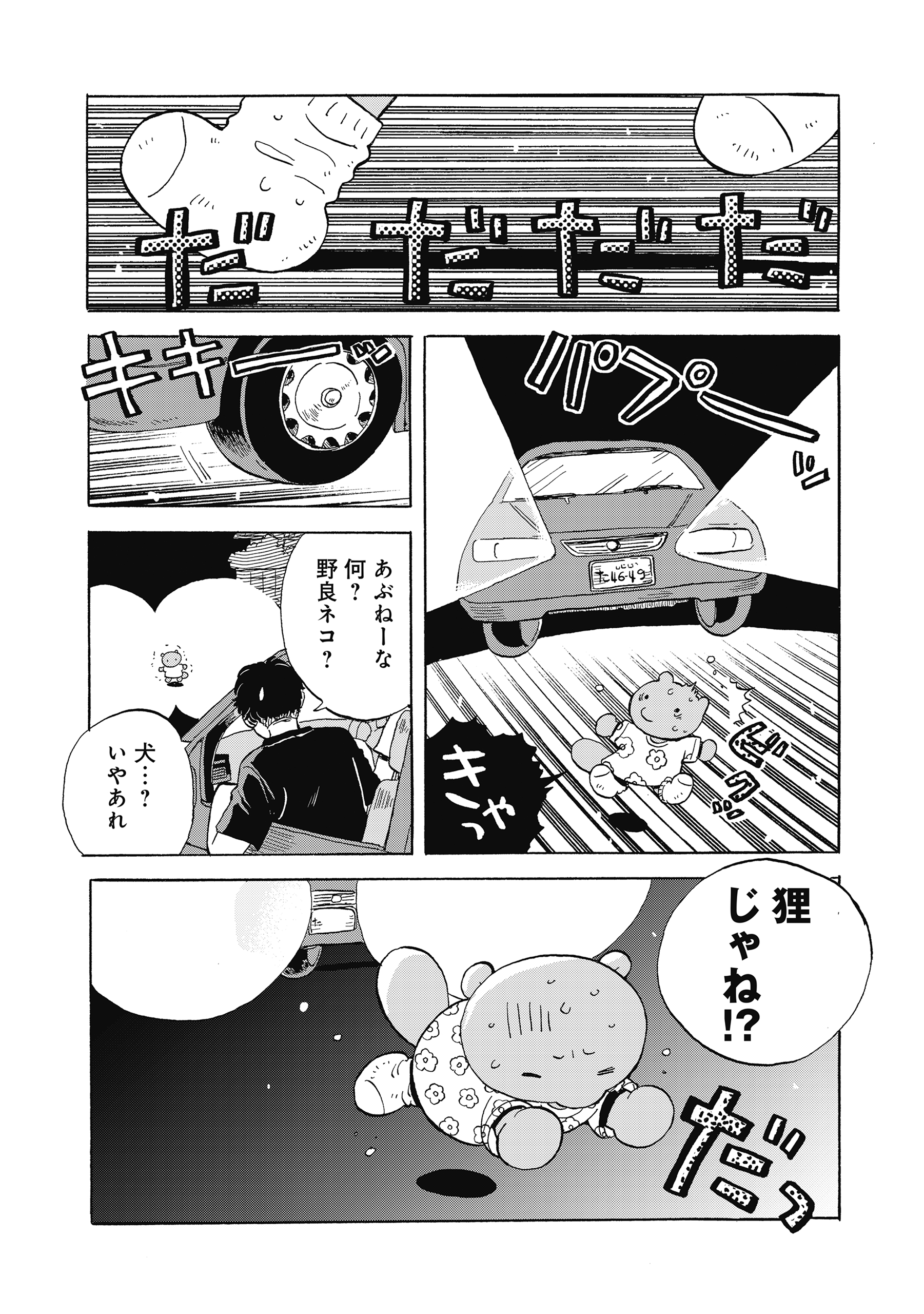 たぬきはたぬき