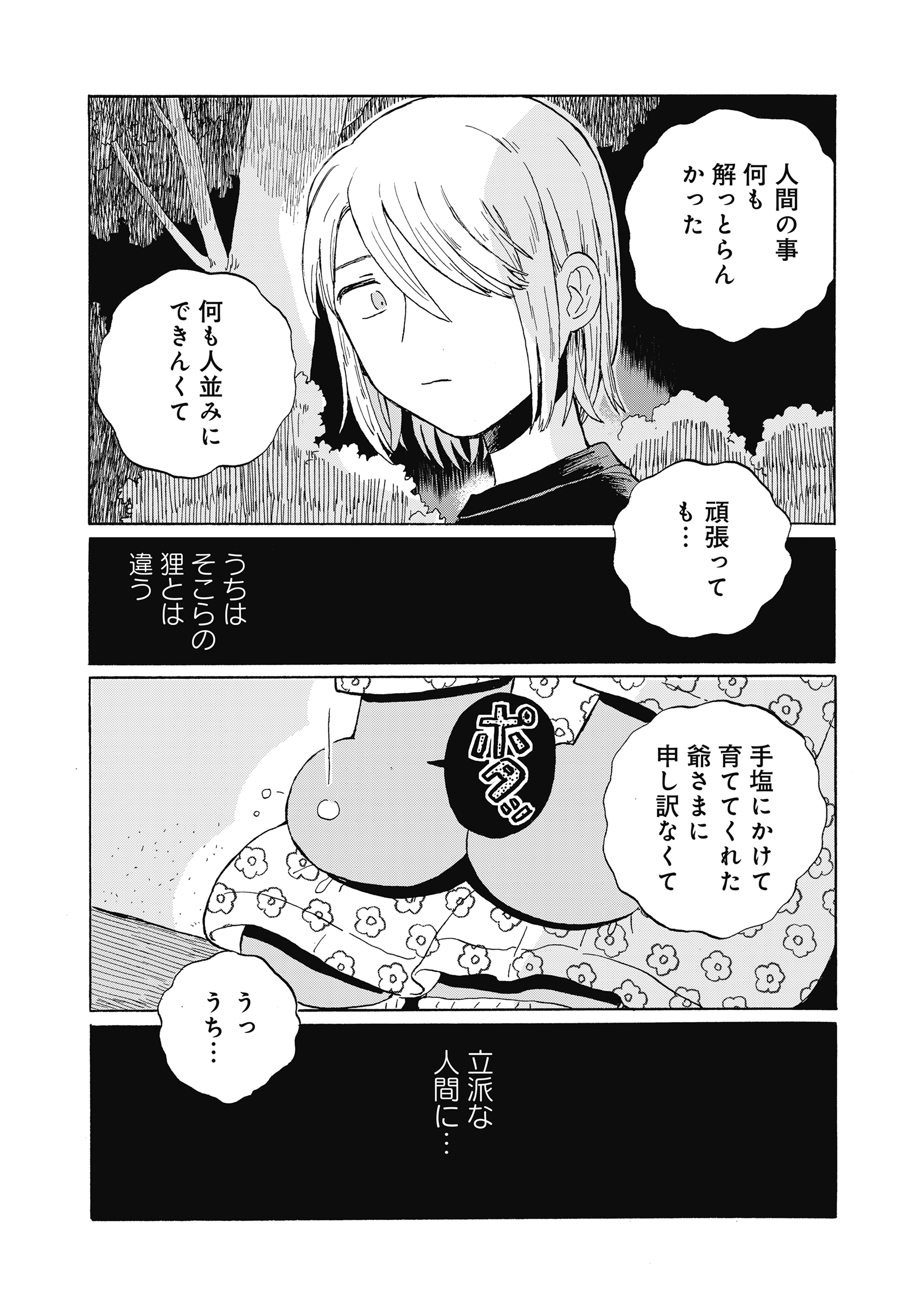 たぬきはたぬき