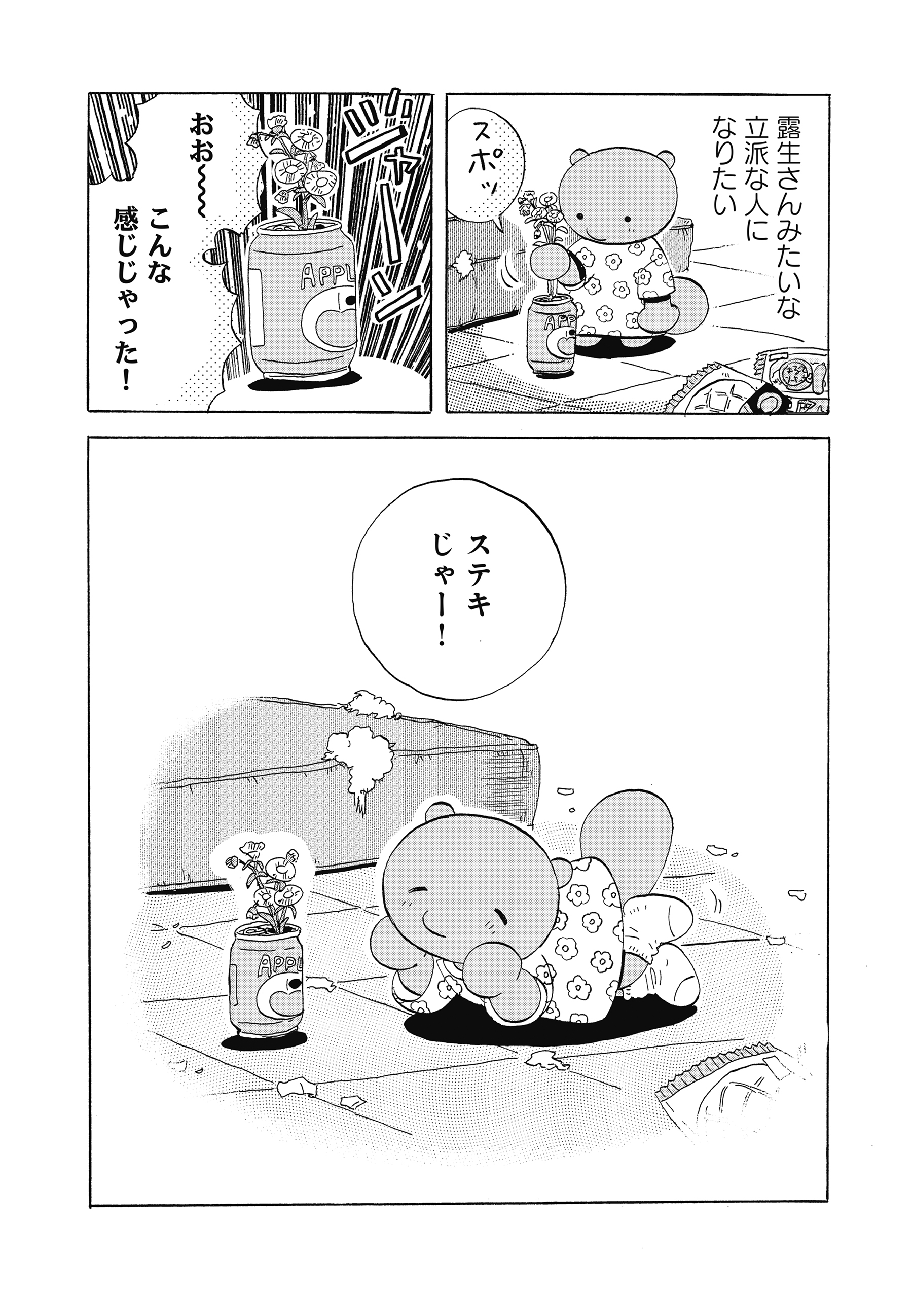 たぬきはたぬき