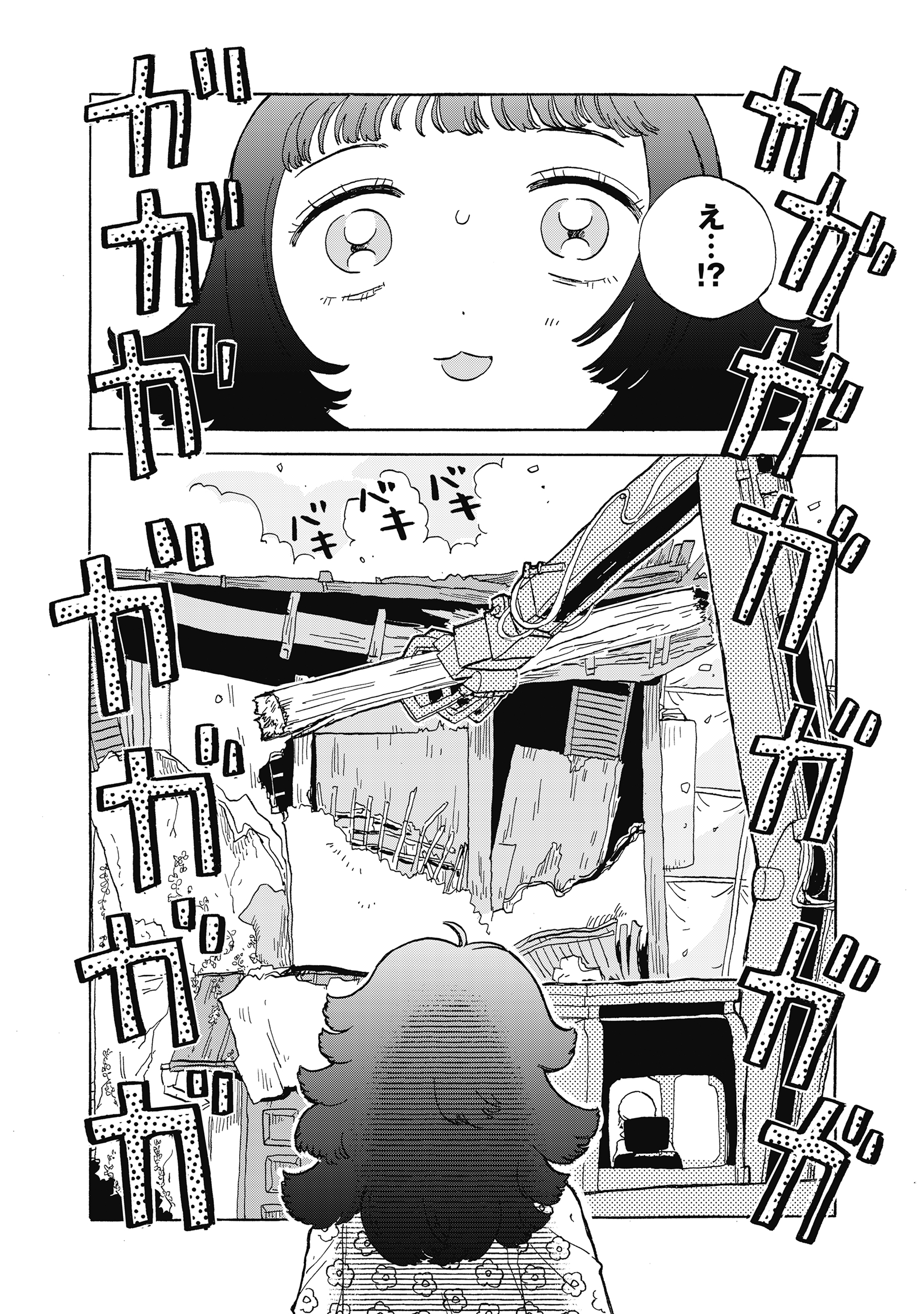 たぬきはたぬき
