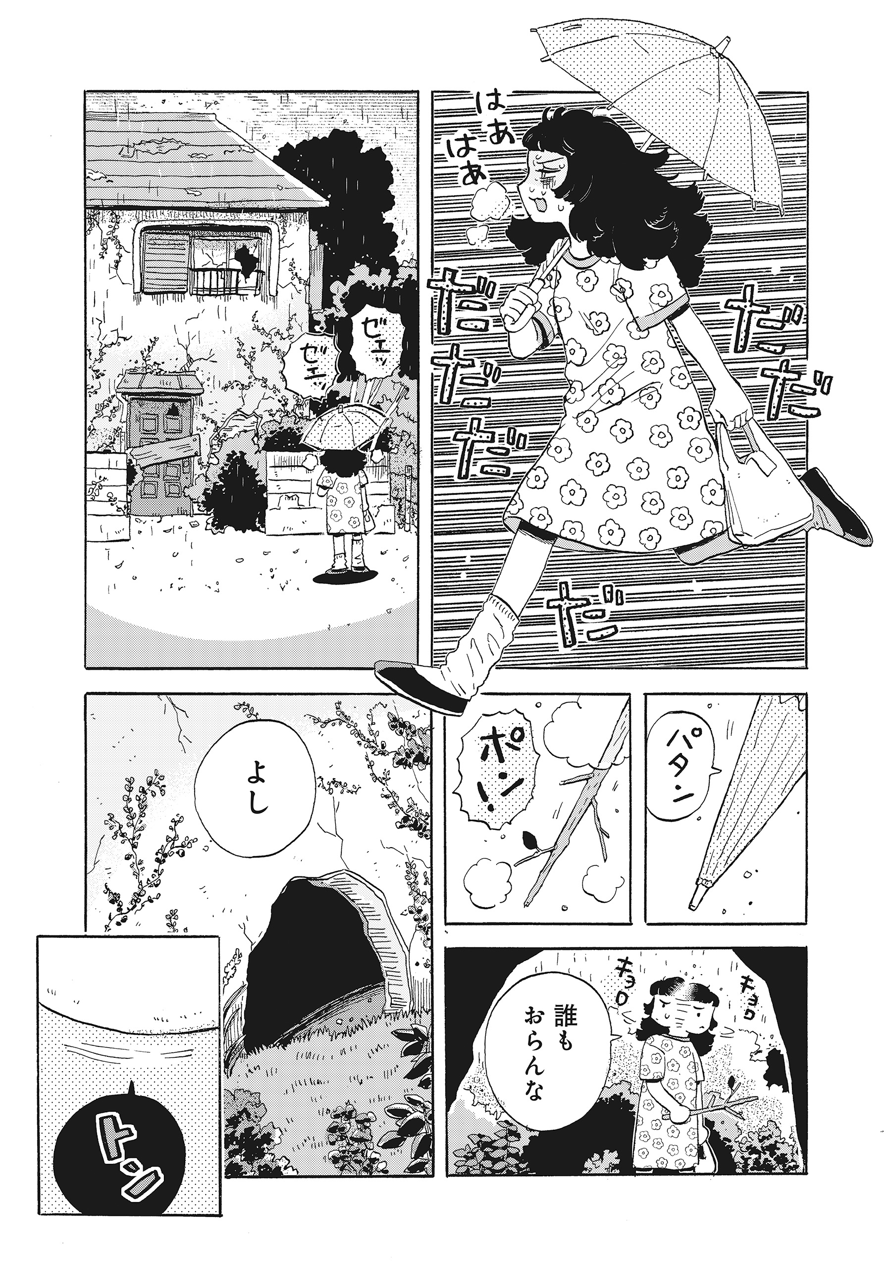 たぬきはたぬき
