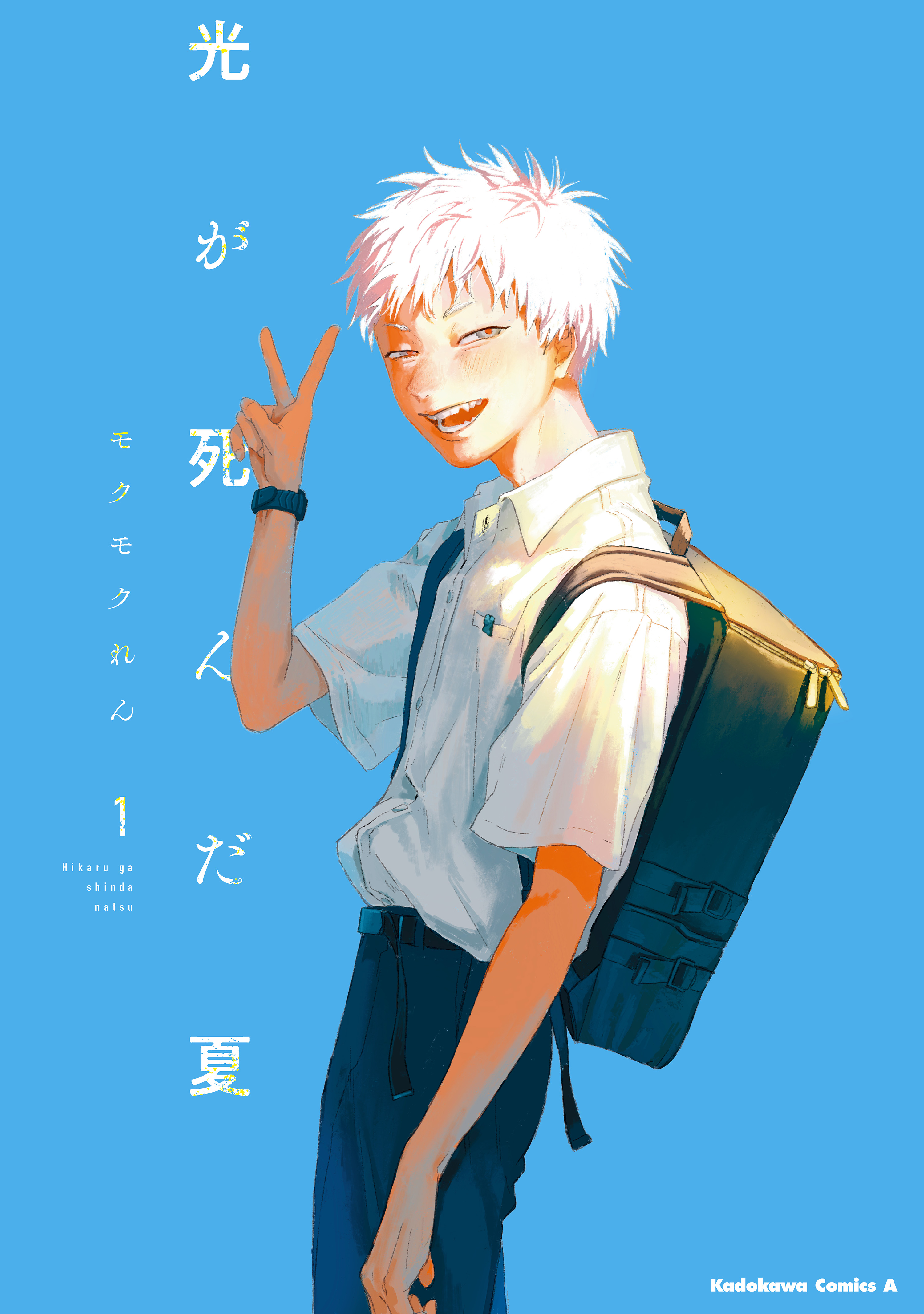 hikarucover_obi