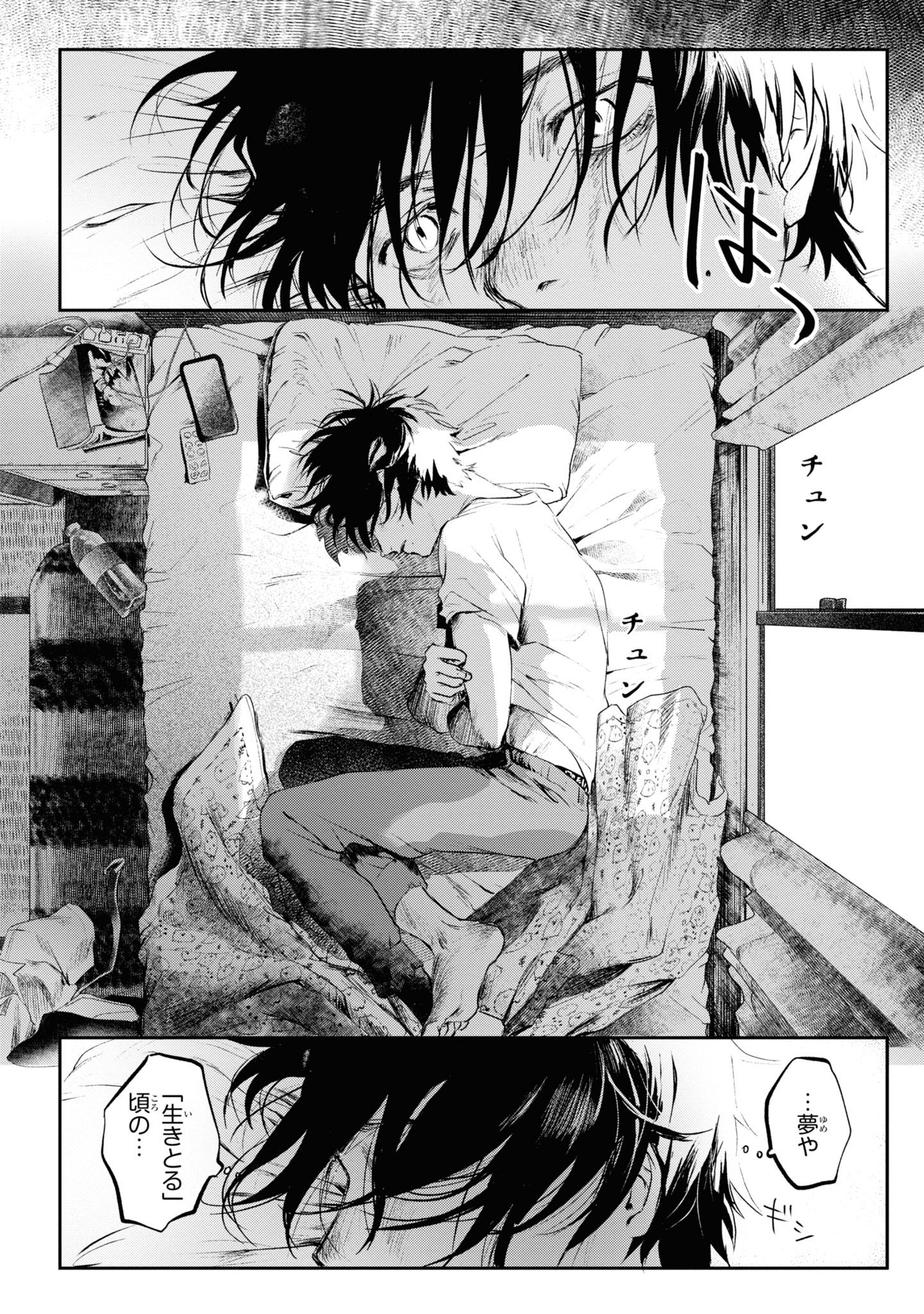 hikarugashindanatsu (17)