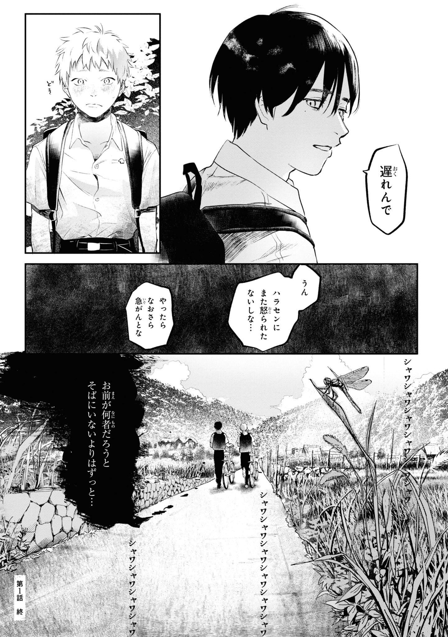 hikarugashindanatsu (20)