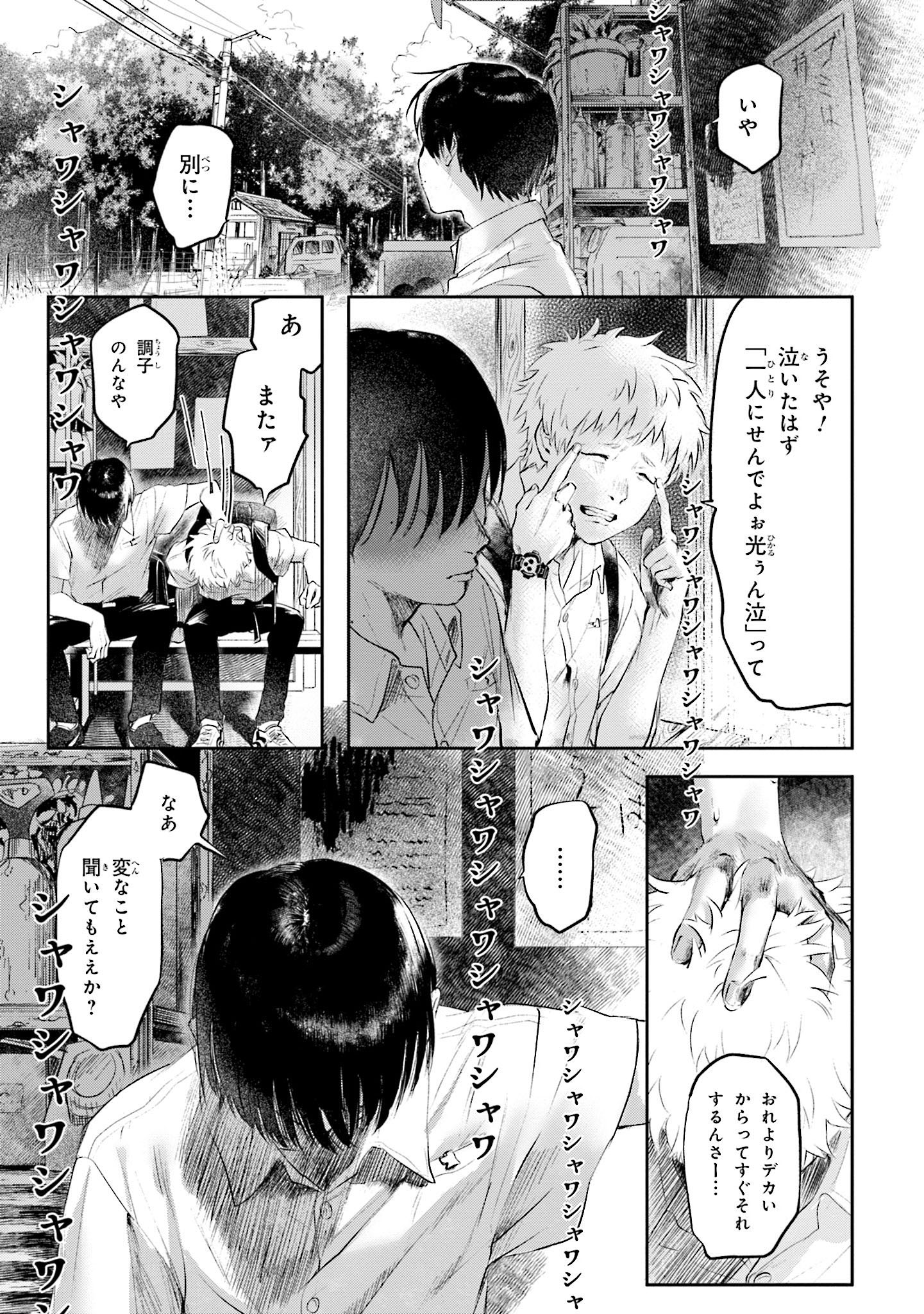 hikarugashindanatsu (6)