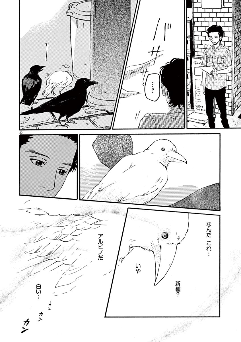 おやすみカラスまた来てね。