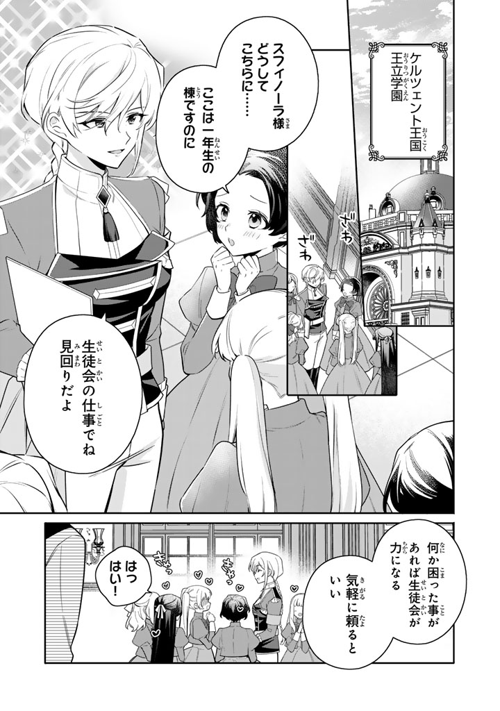 岩石乙女と小石ちゃん