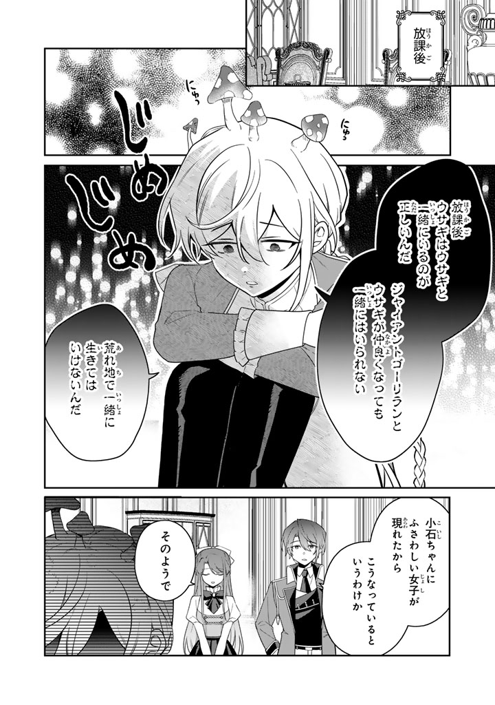 岩石乙女と小石ちゃん