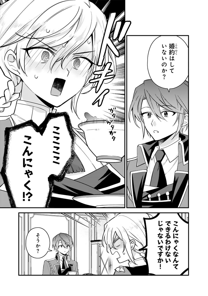 岩石乙女と小石ちゃん