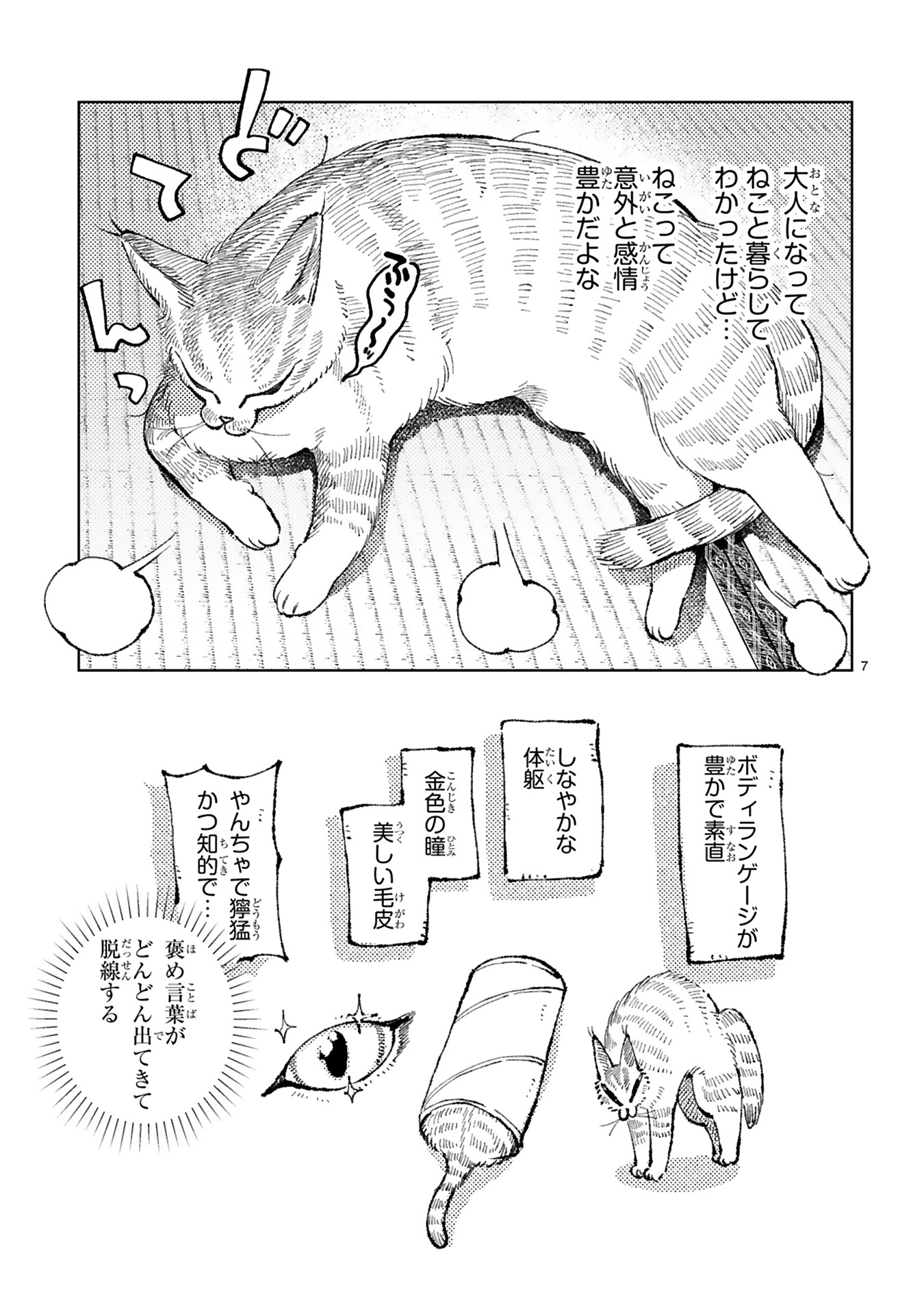 ねこのニヤ