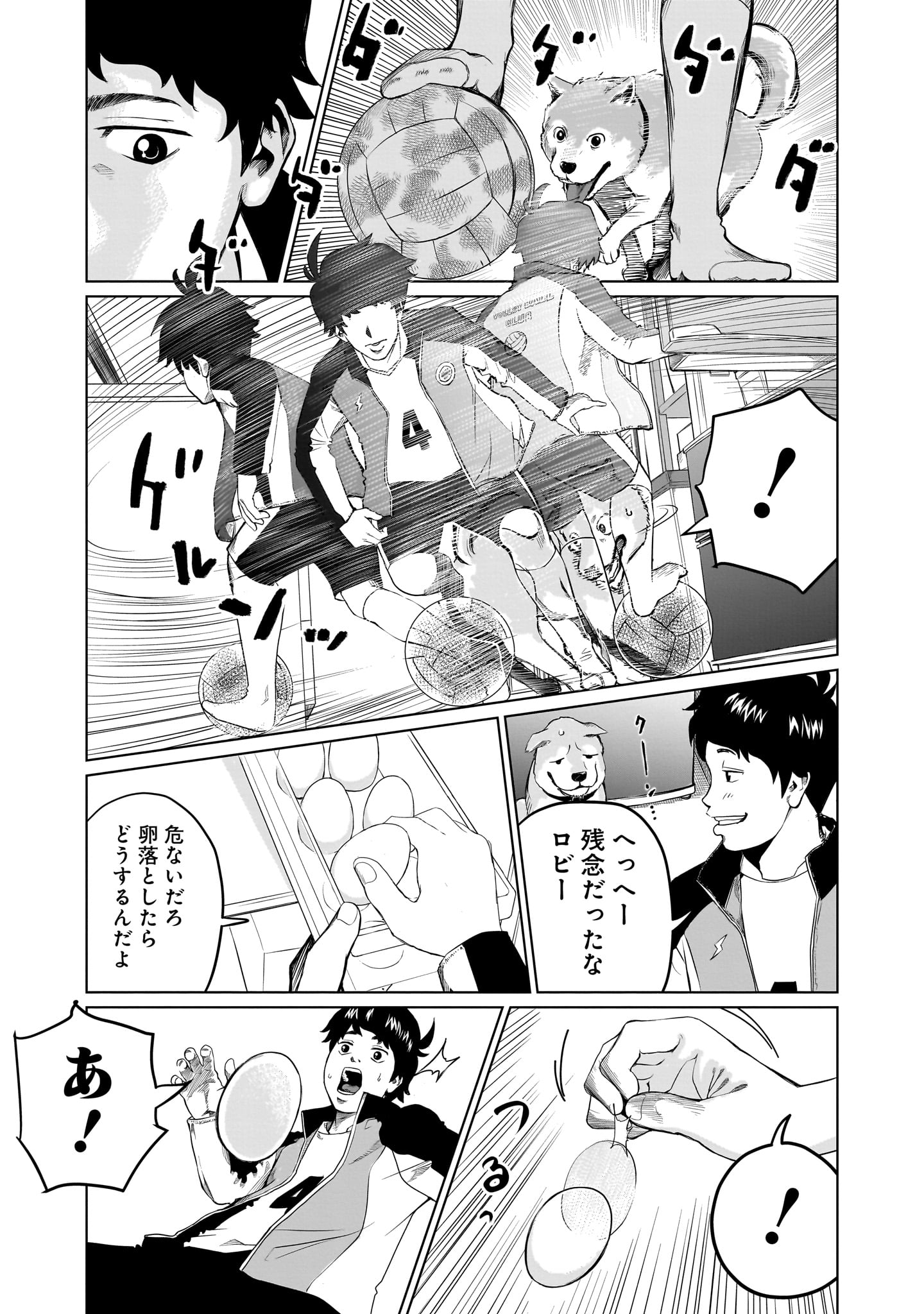 ゴールデンエッグ