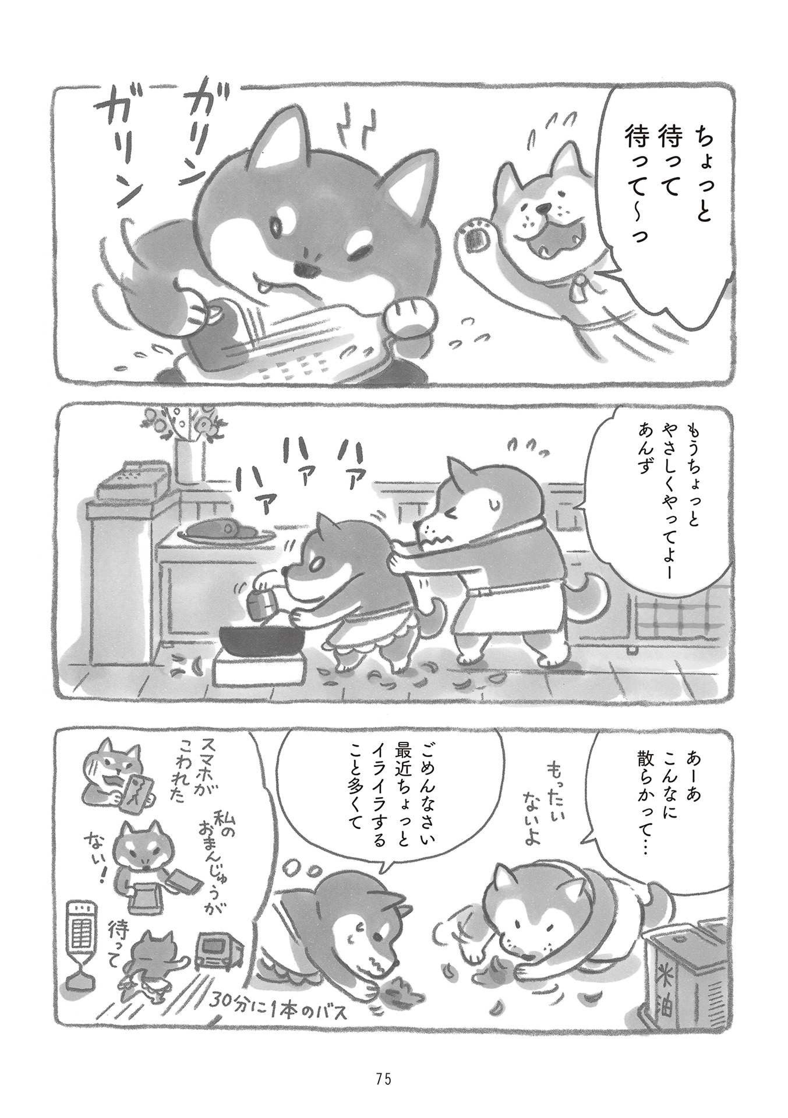 柴犬食堂の12カ月