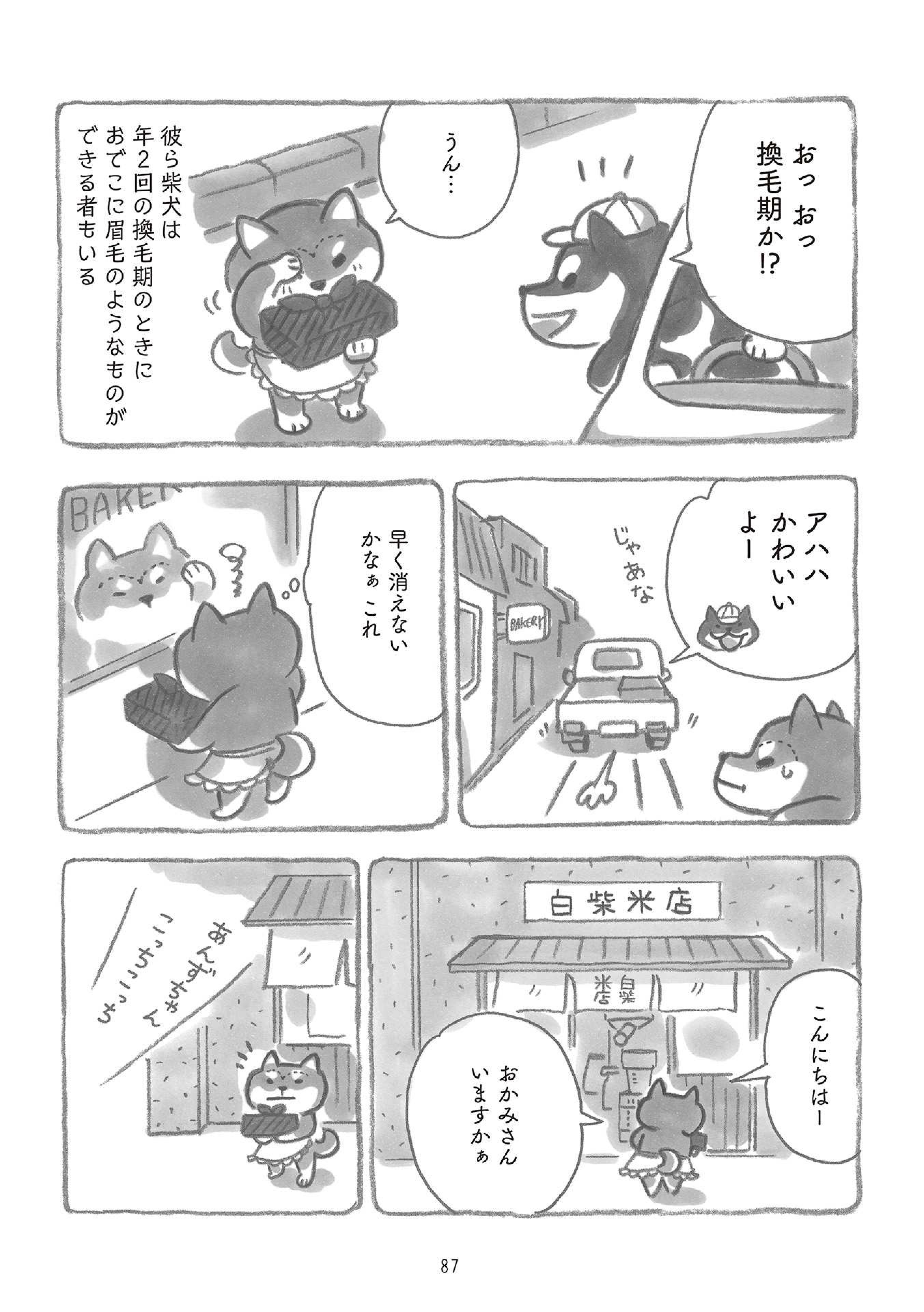 柴犬食堂の12カ月