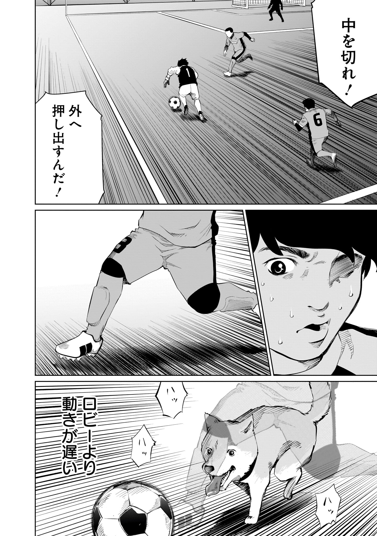 ゴールデンエッグ