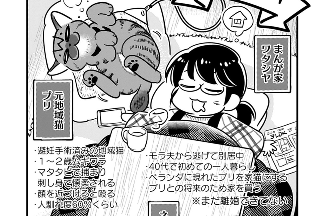 記事の画像