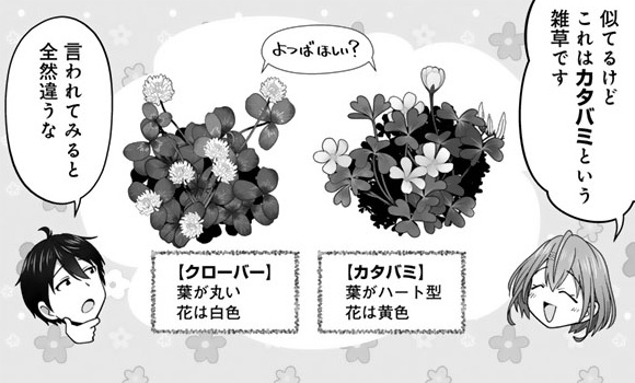 記事の画像