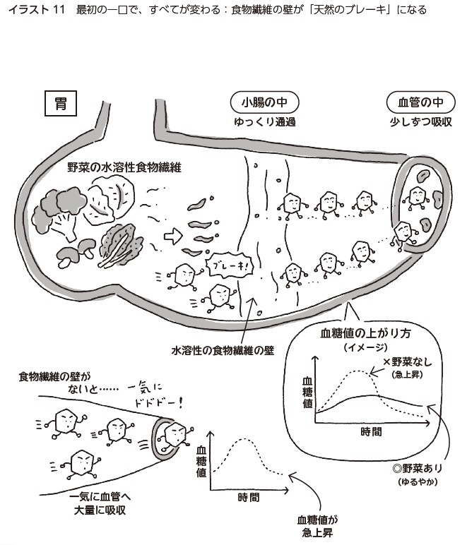 体にいいことirasuto11