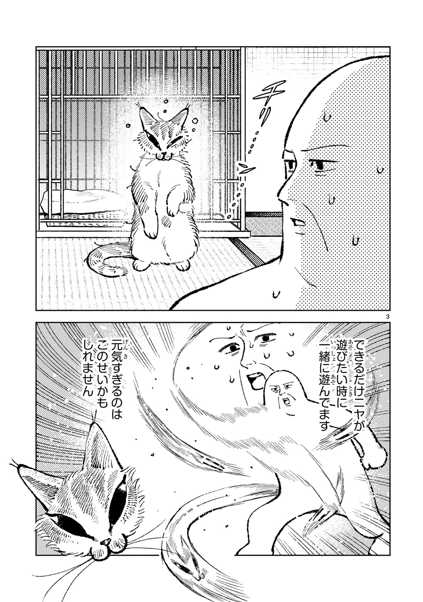 ねこニヤ