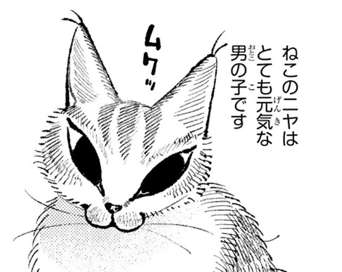 nekononiya_1
