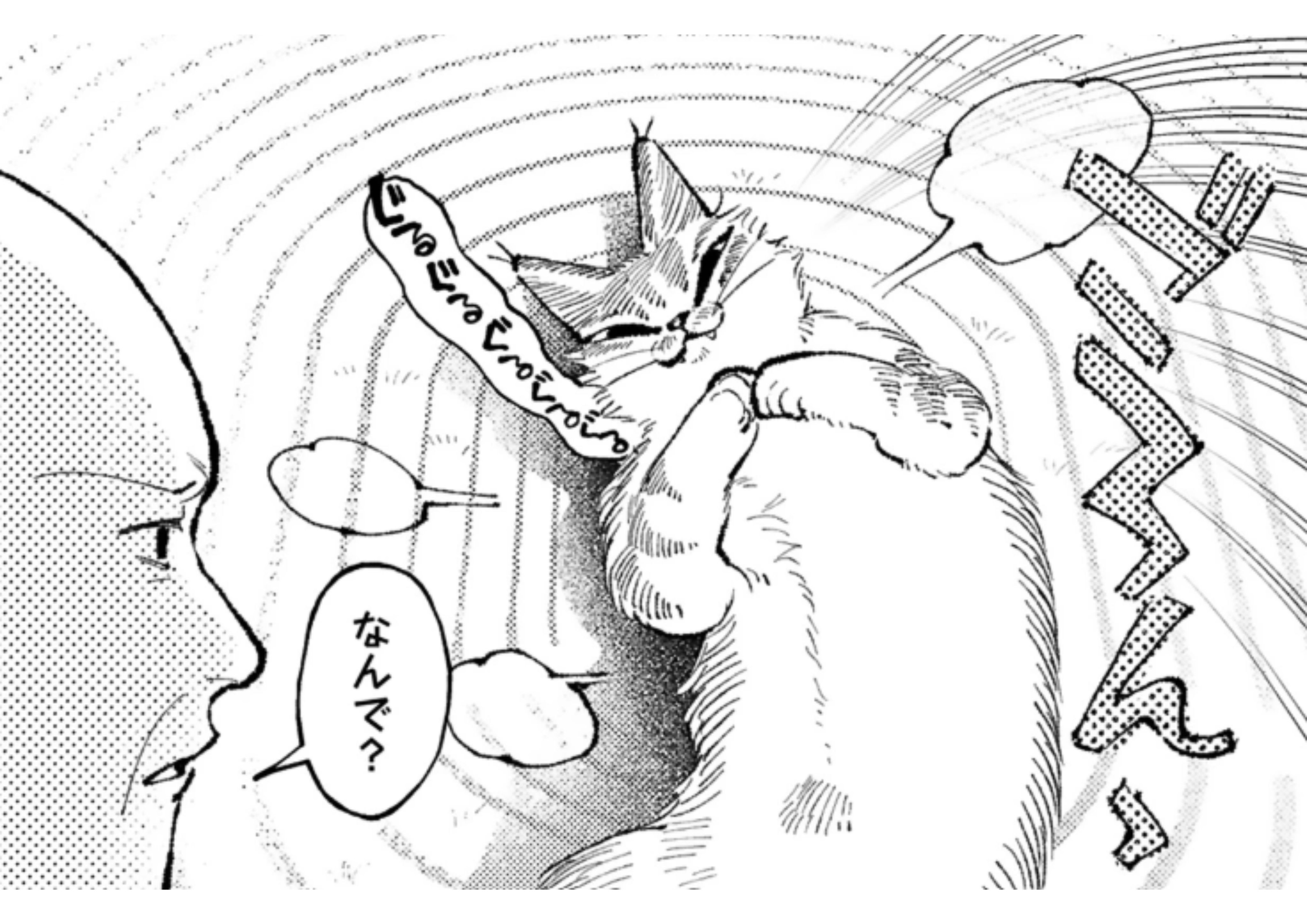 nekononiya_2