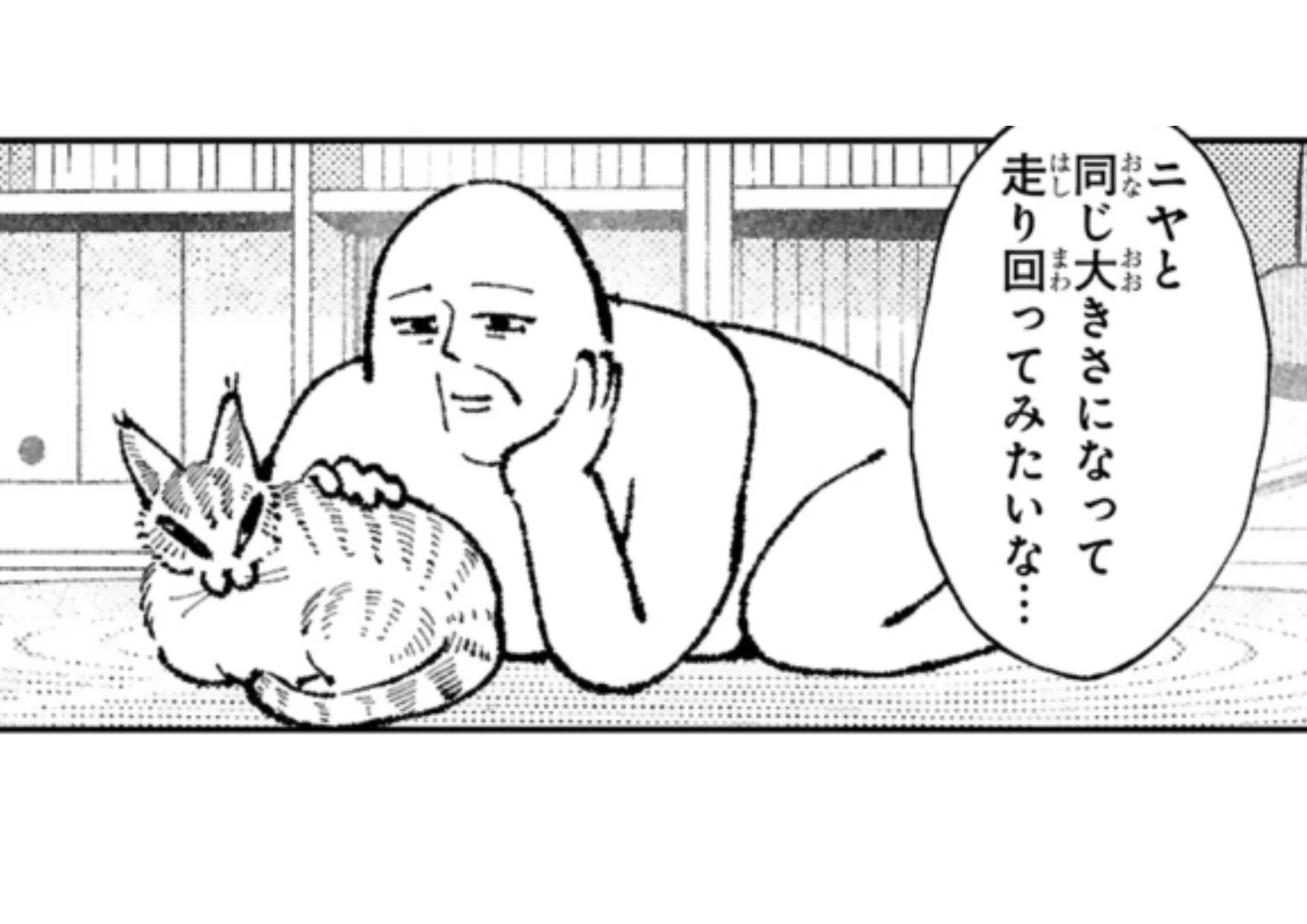 nekononiya_7