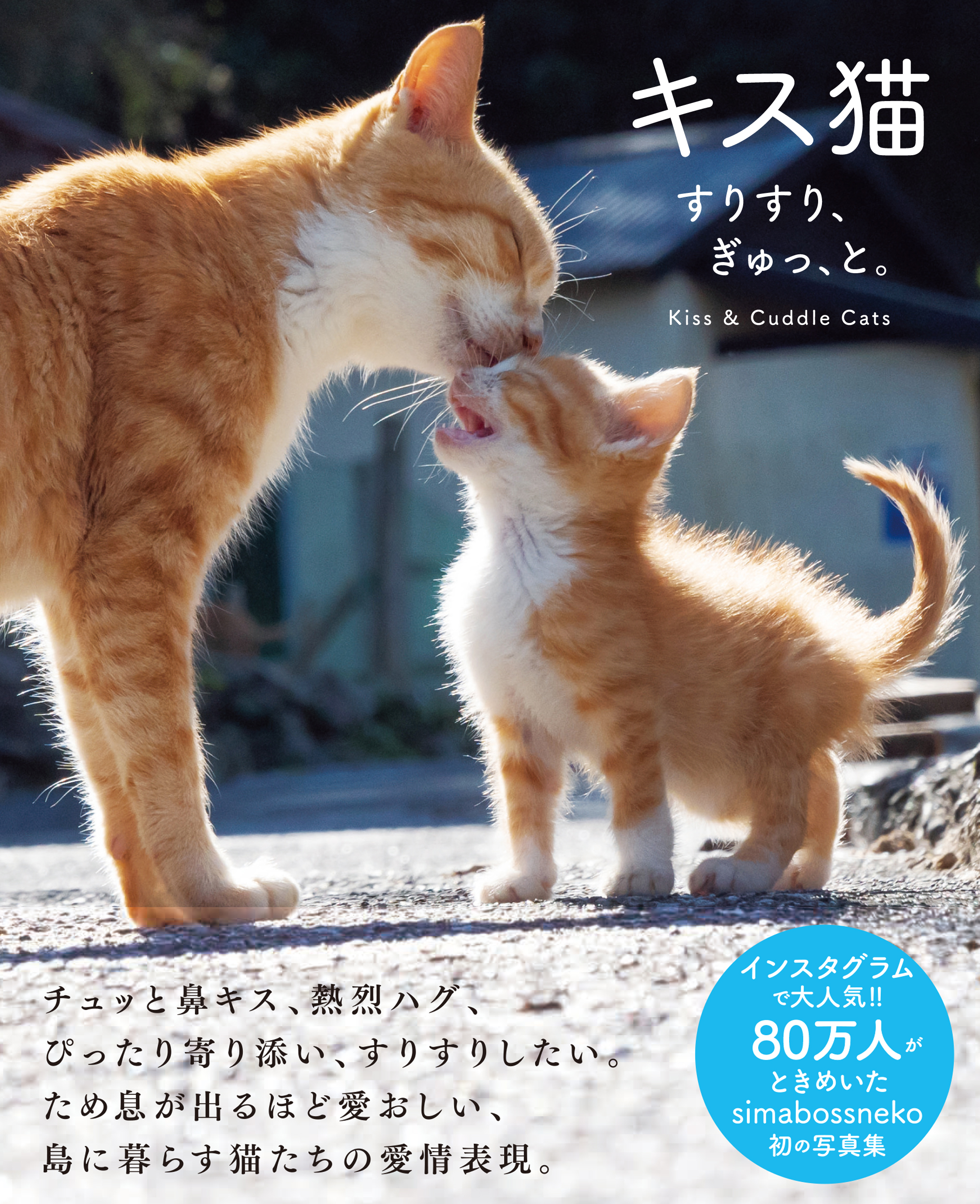 キス猫書影