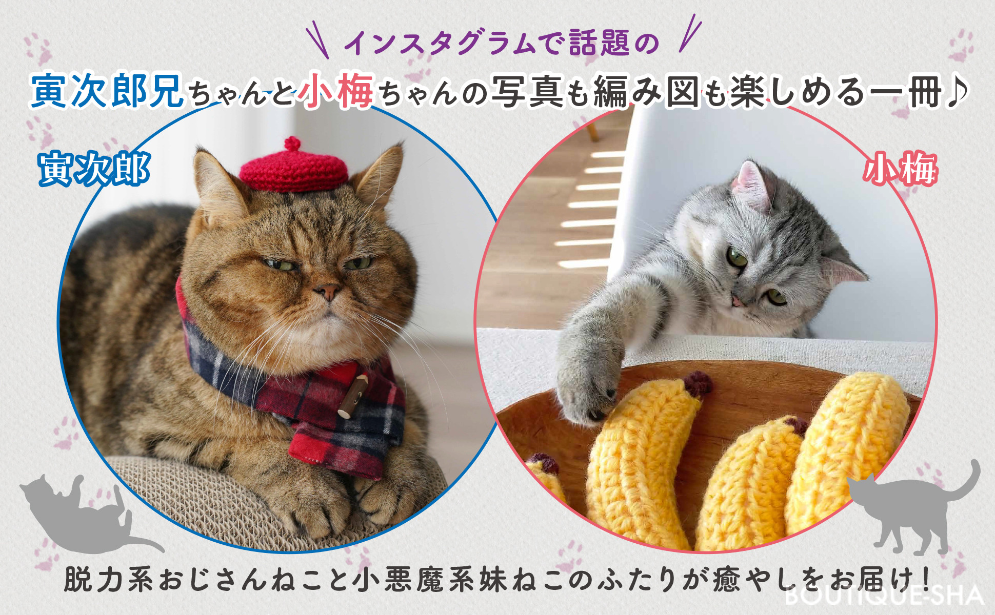 8番目の注目記事の画像