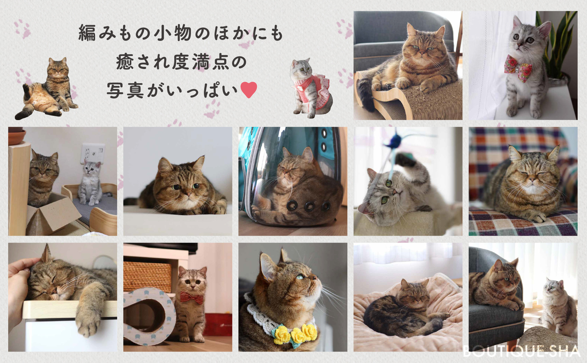 寅次郎おすすめ③