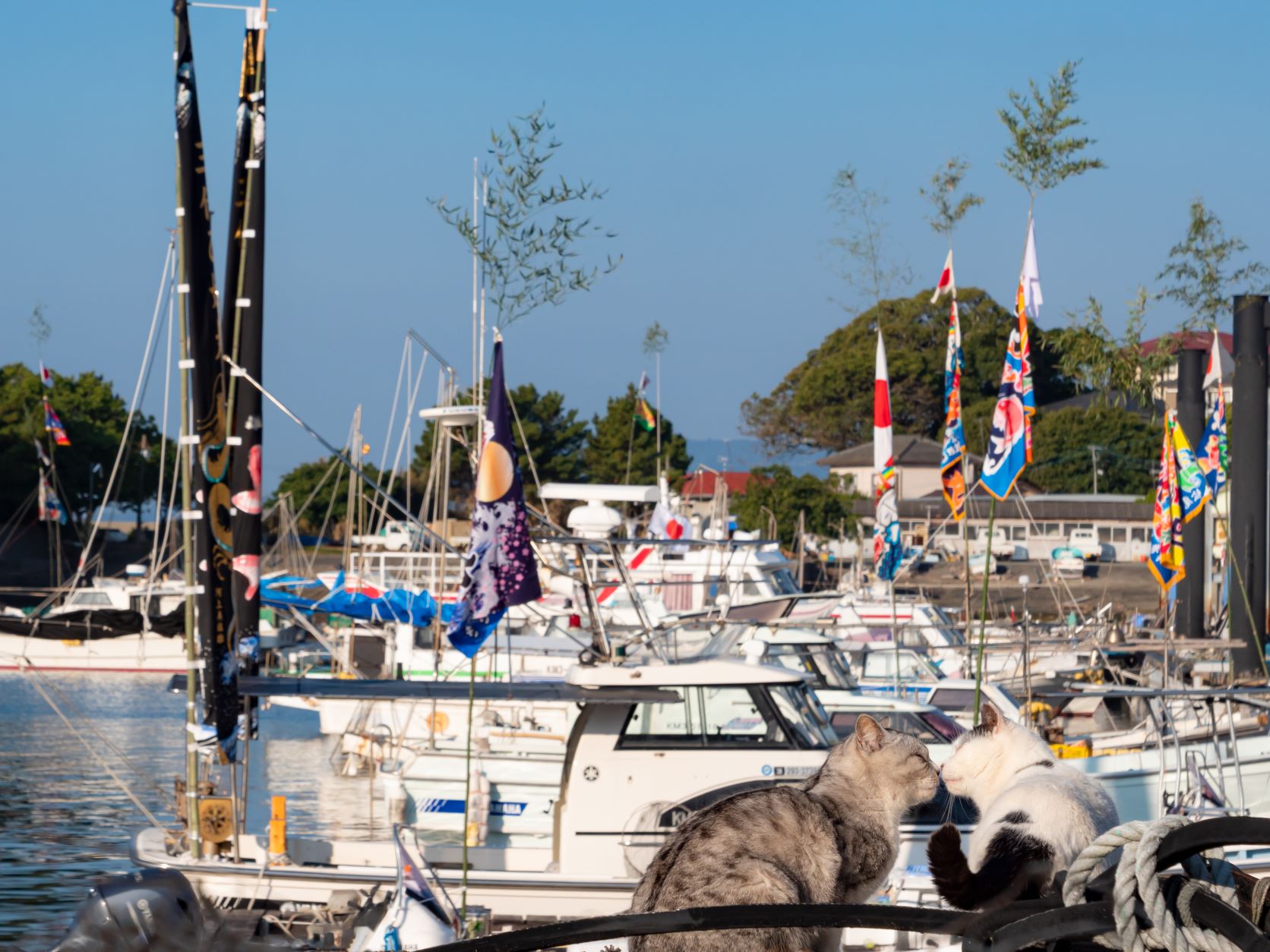 8番目の注目記事の画像