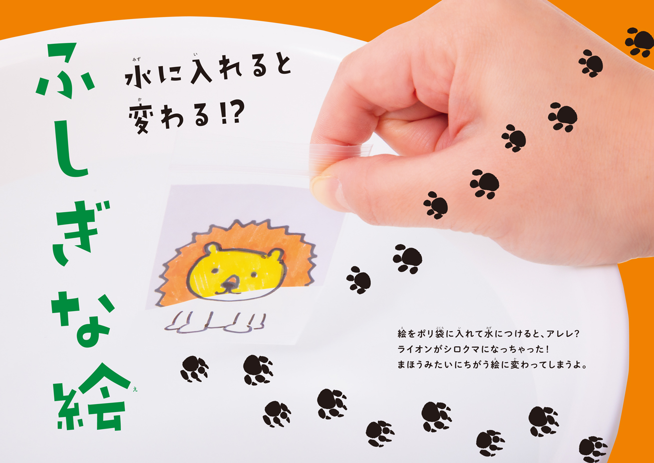 おうち実験＆あそび_おすすめポイント1