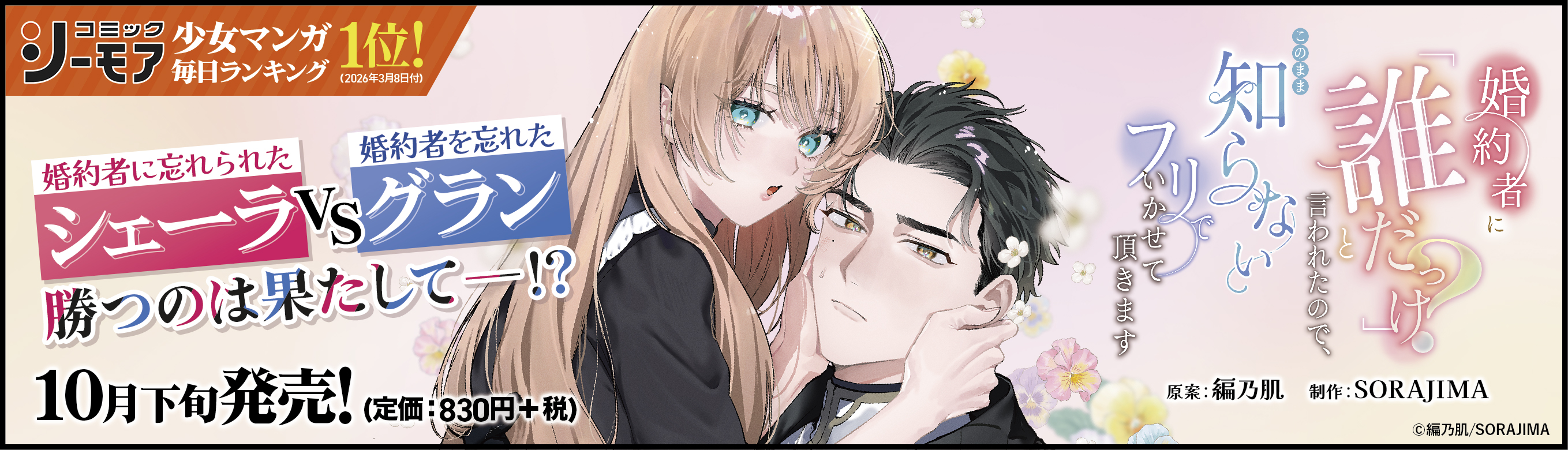 ソラジマ