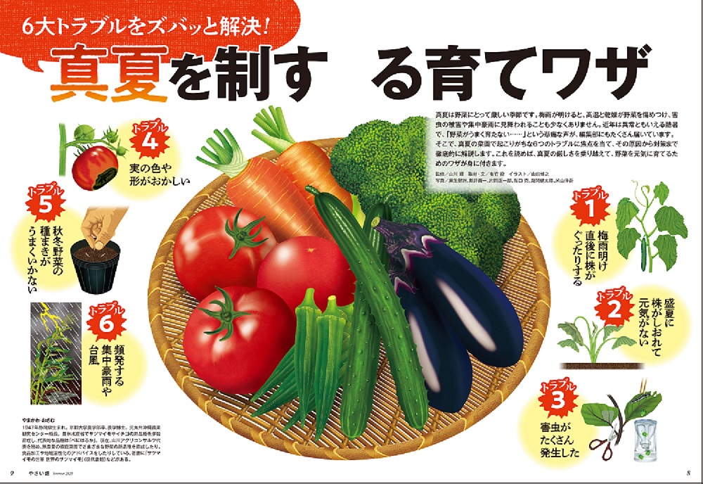 やさい畑誌面232