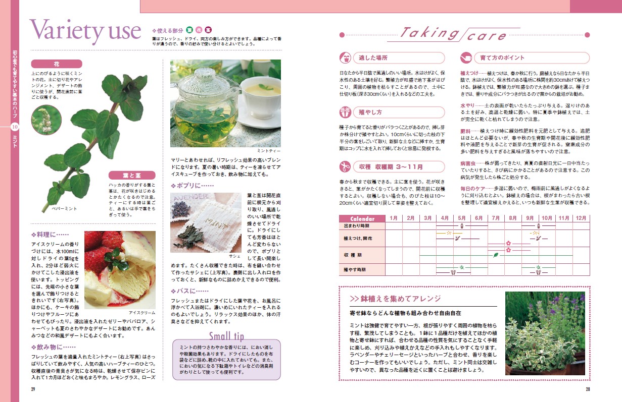 新版　はじめてのハーブ栽培　定番50誌面232
