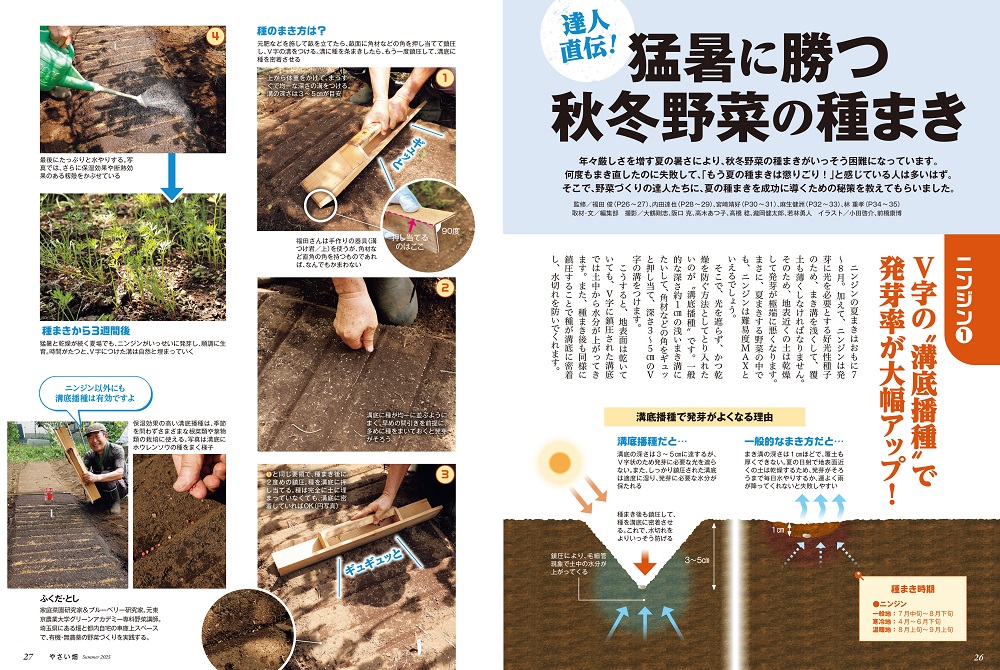 やさい畑誌面