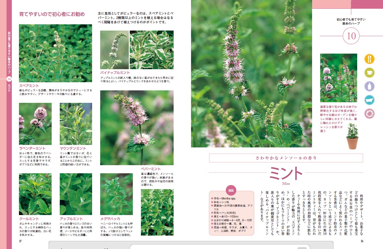 新版　はじめてのハーブ栽培　定番50