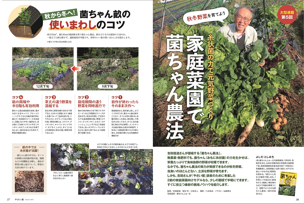 やさい畑誌面