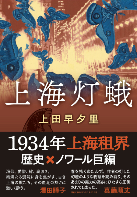 上海灯蛾