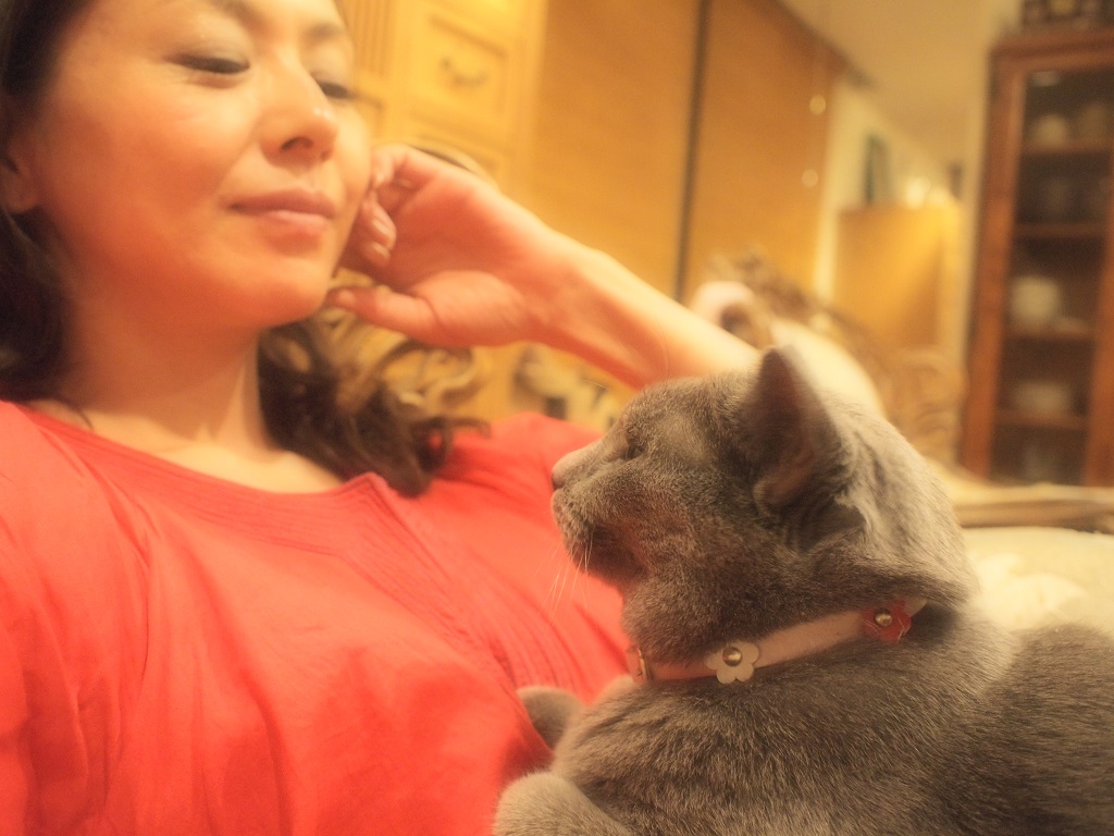 小泉今日子と小雨