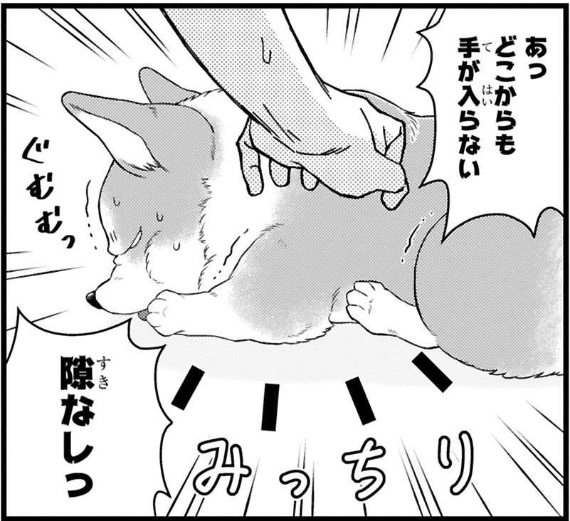 殿と犬_アイキャッチ【#3】